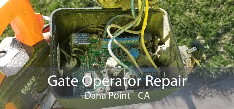 Gate Operator Repair Dana Point - CA