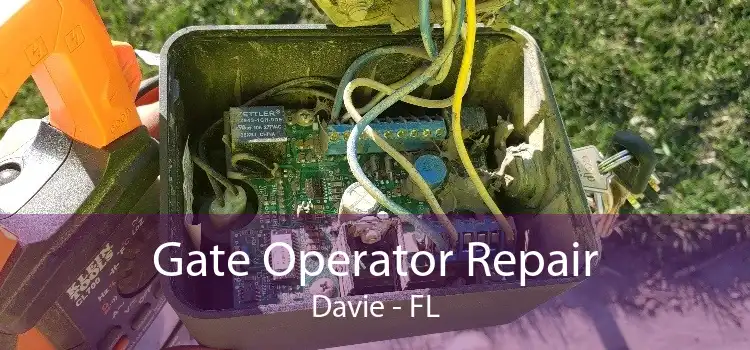 Gate Operator Repair Davie - FL