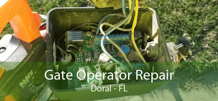 Gate Operator Repair Doral - FL