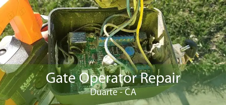 Gate Operator Repair Duarte - CA