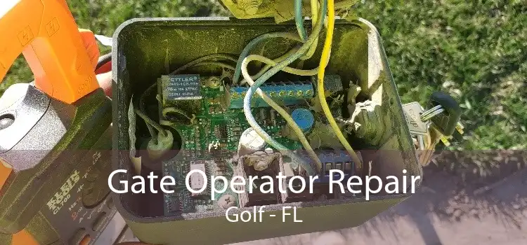 Gate Operator Repair Golf - FL