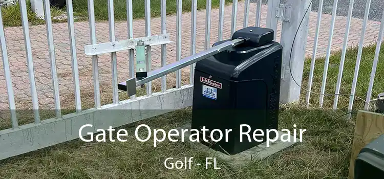 Gate Operator Repair Golf - FL