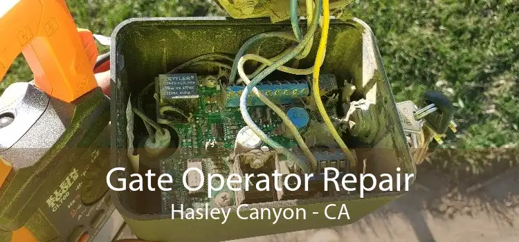 Gate Operator Repair Hasley Canyon - CA