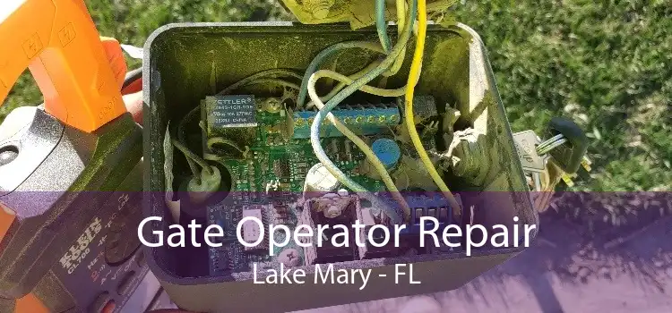 Gate Operator Repair Lake Mary - FL