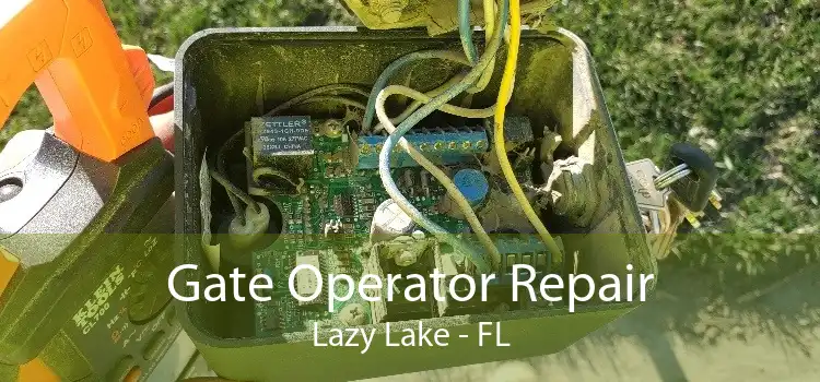 Gate Operator Repair Lazy Lake - FL