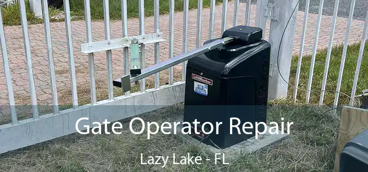  Gate Operator Repair Lazy Lake - FL