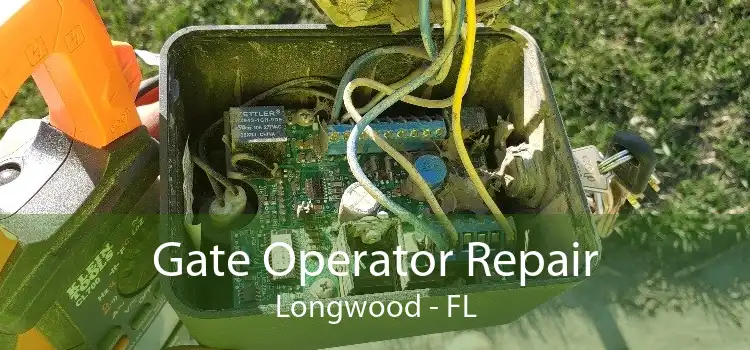 Gate Operator Repair Longwood - FL