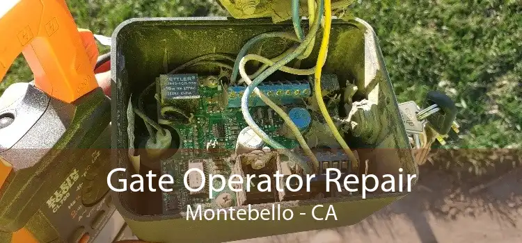 Gate Operator Repair Montebello - CA