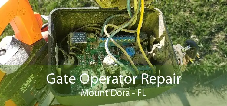 Gate Operator Repair Mount Dora - FL