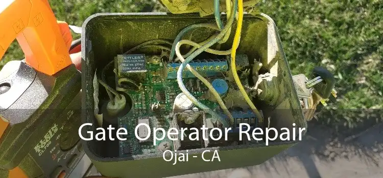 Gate Operator Repair Ojai - CA