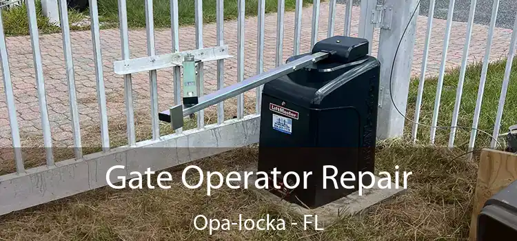 Gate Operator Repair Opa-locka - FL