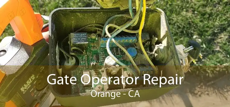 Gate Operator Repair Orange - CA
