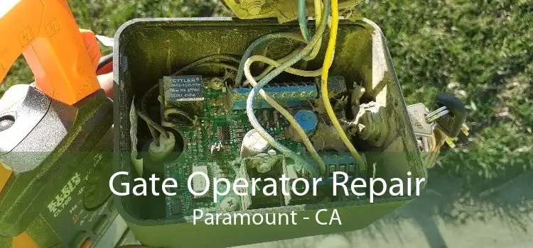 Gate Operator Repair Paramount - CA