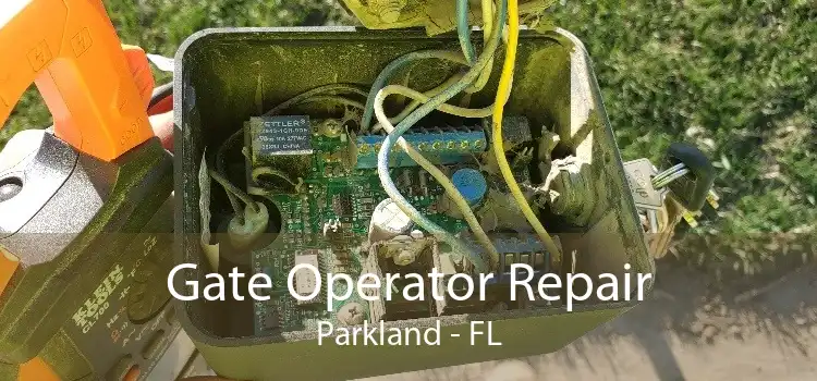 Gate Operator Repair Parkland - FL