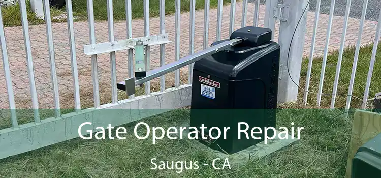 Gate Operator Repair Saugus - CA