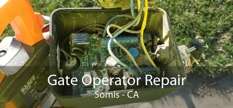 Gate Operator Repair Somis - CA