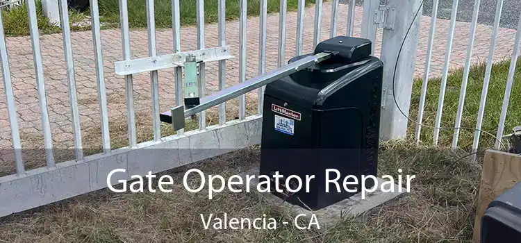 Gate Operator Repair Valencia - CA