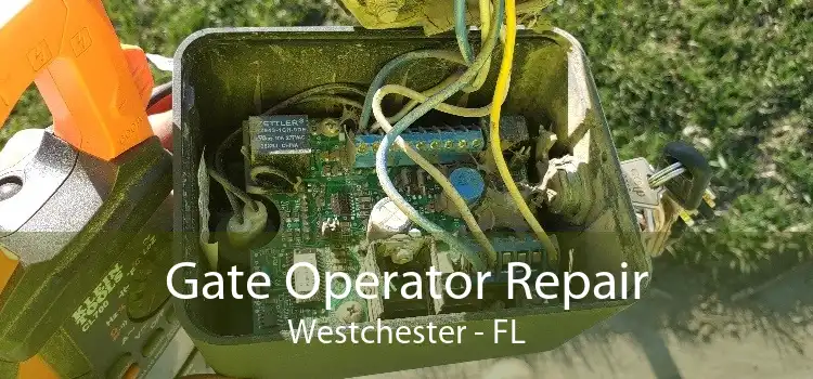Gate Operator Repair Westchester - FL