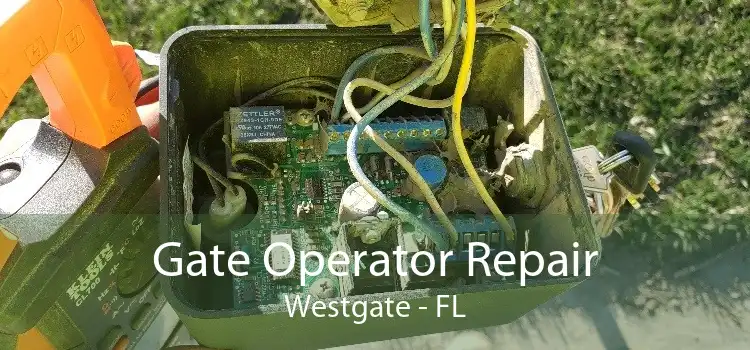 Gate Operator Repair Westgate - FL