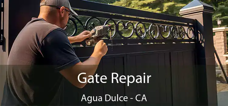 Gate Repair Agua Dulce - CA