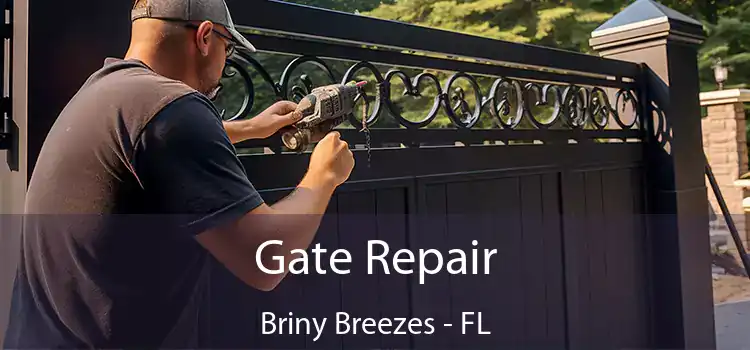 Gate Repair Briny Breezes - FL