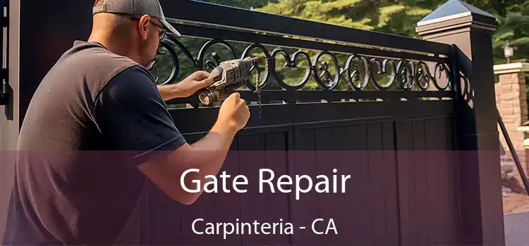 Gate Repair Carpinteria - CA