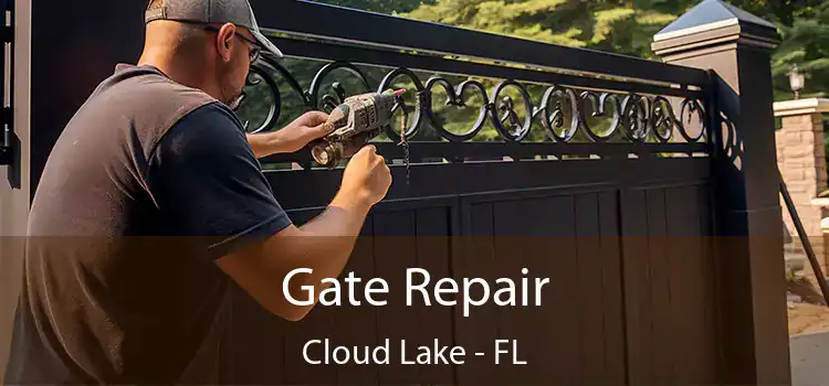 Gate Repair Cloud Lake - FL