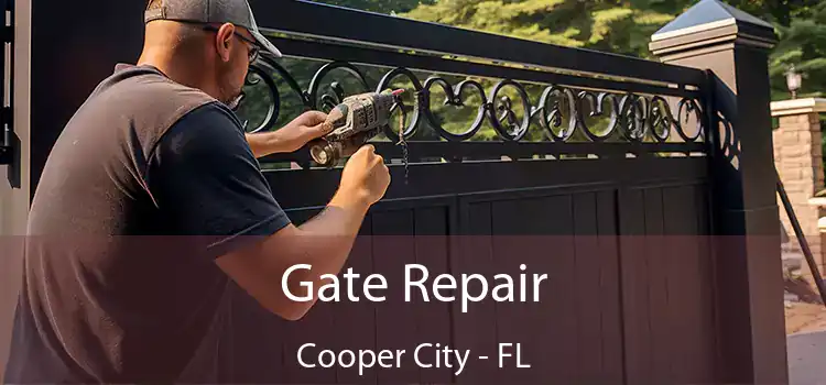 Gate Repair Cooper City - FL