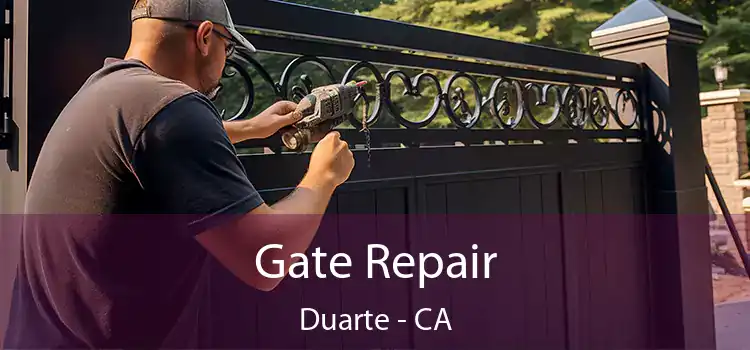 Gate Repair Duarte - CA