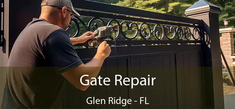 Gate Repair Glen Ridge - FL
