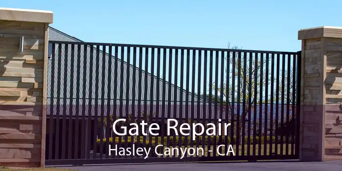 Gate Repair Hasley Canyon - CA