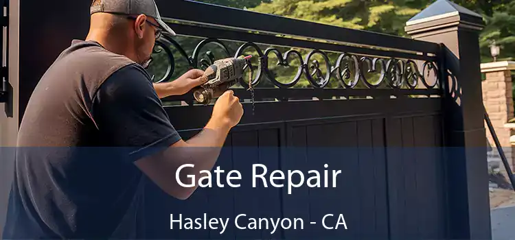 Gate Repair Hasley Canyon - CA