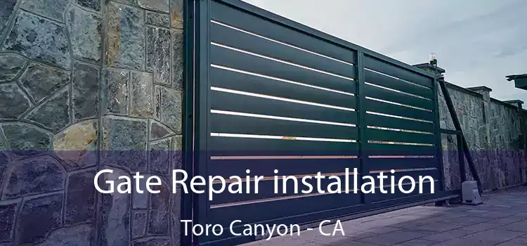  Gate Repair installation Toro Canyon - CA