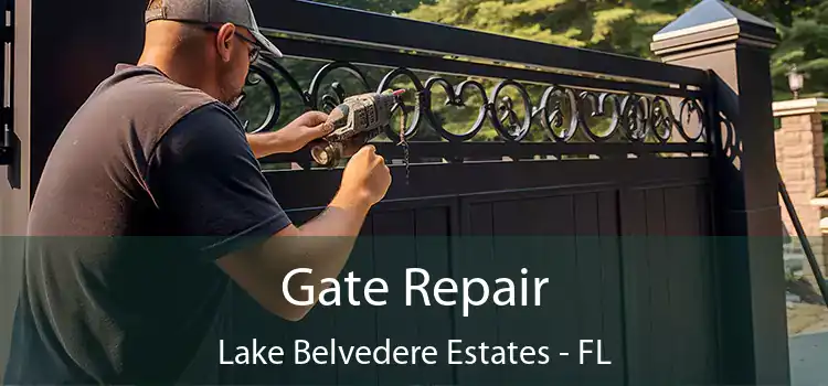 Gate Repair Lake Belvedere Estates - FL