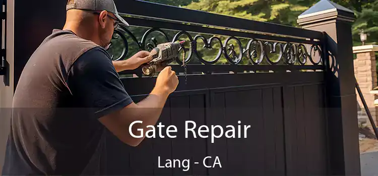 Gate Repair Lang - CA