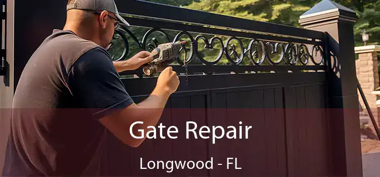 Gate Repair Longwood - FL