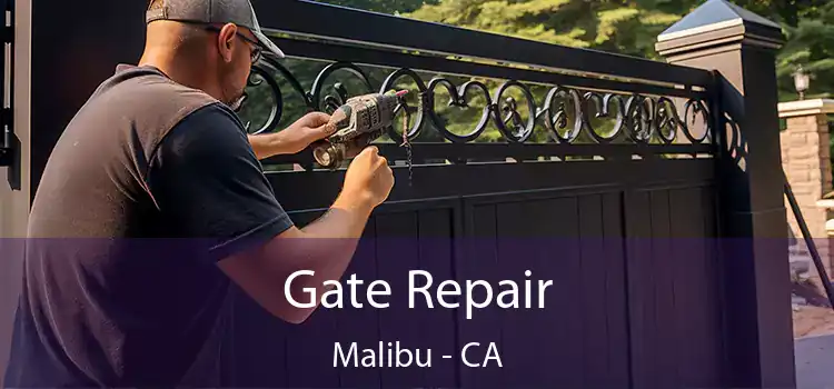 Gate Repair Malibu - CA