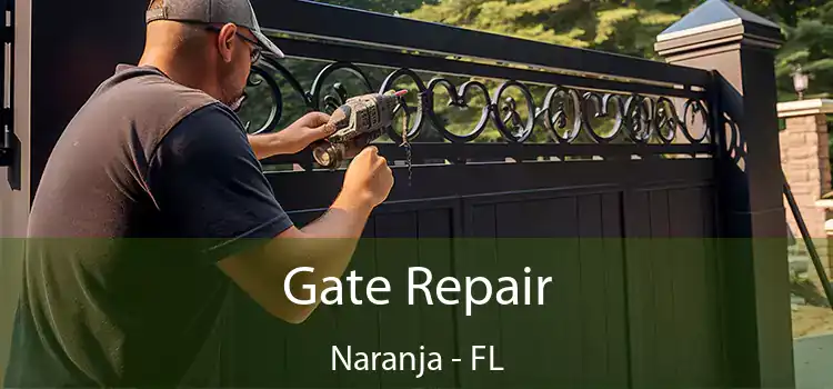 Gate Repair Naranja - FL