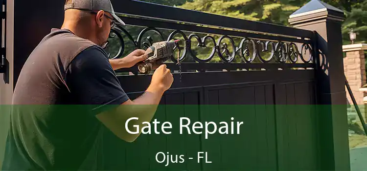 Gate Repair Ojus - FL