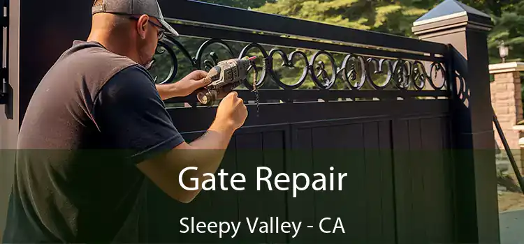 Gate Repair Sleepy Valley - CA