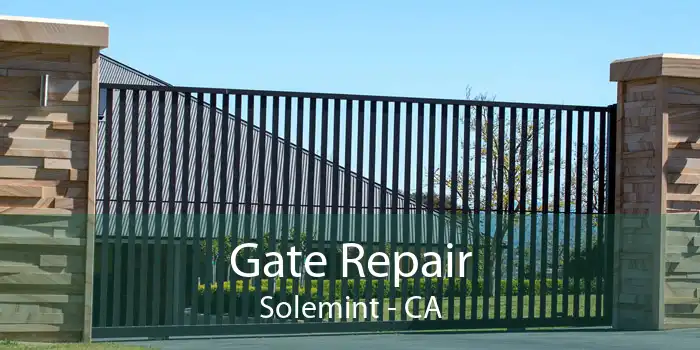 Gate Repair Solemint - CA