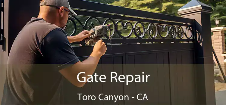  Gate Repair Toro Canyon - CA