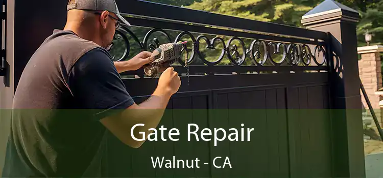 Gate Repair Walnut - CA