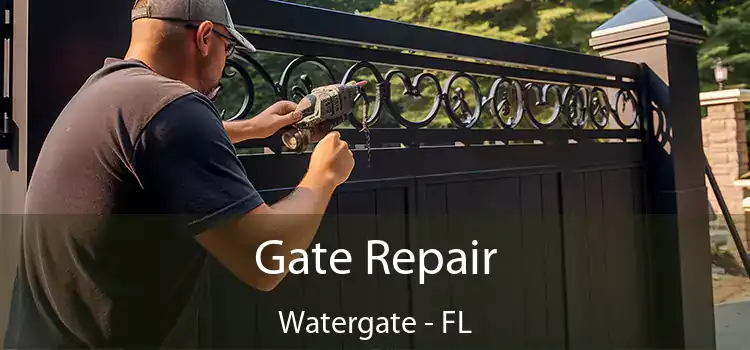  Gate Repair Watergate - FL