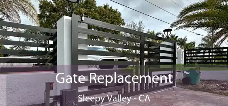  Gate Replacement Sleepy Valley - CA