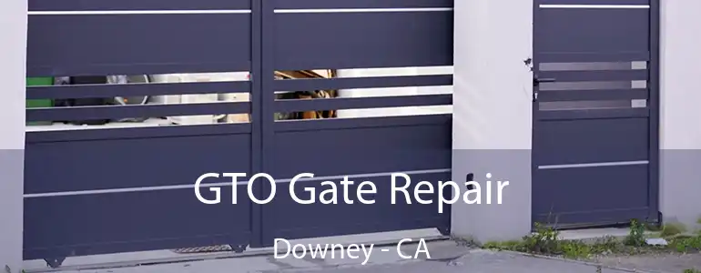  GTO Gate Repair Downey - CA