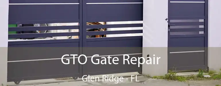  GTO Gate Repair Glen Ridge - FL