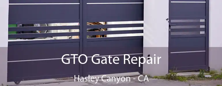  GTO Gate Repair Hasley Canyon - CA