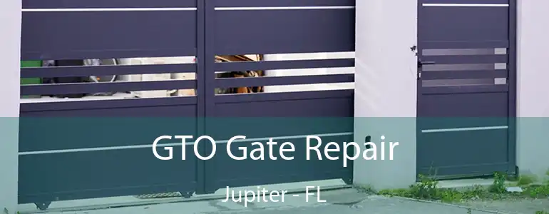  GTO Gate Repair Jupiter - FL