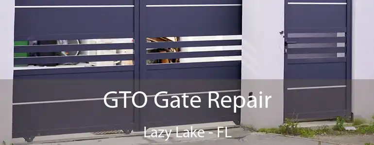  GTO Gate Repair Lazy Lake - FL